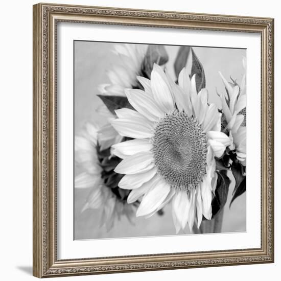 Sunny Sunflower II-Nicole Katano-Framed Photo