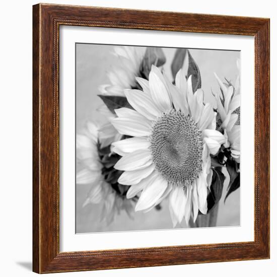 Sunny Sunflower II-Nicole Katano-Framed Photo