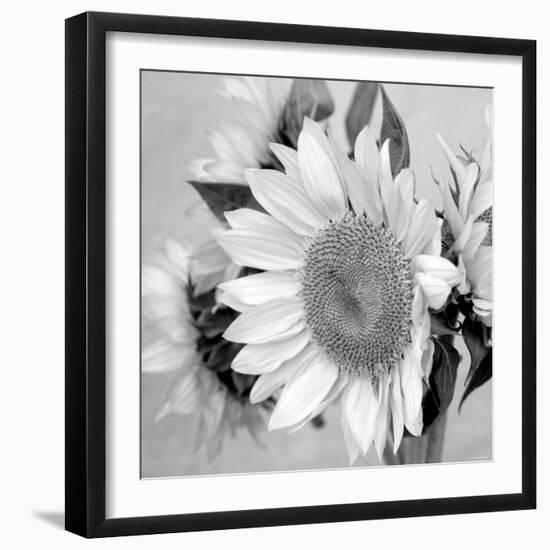 Sunny Sunflower II-Nicole Katano-Framed Photo