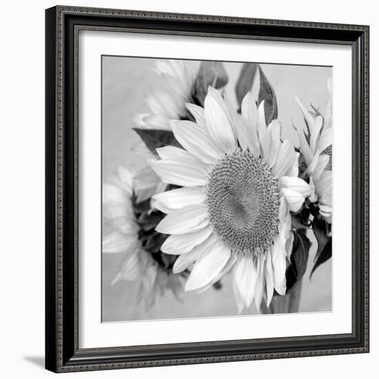 Sunny Sunflower II-Nicole Katano-Framed Photo