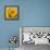 Sunny Sunflower III-Nicole Katano-Framed Stretched Canvas displayed on a wall