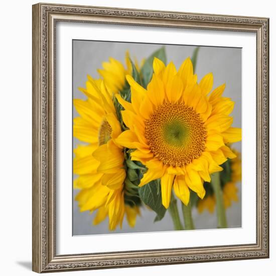 Sunny Sunflower III-Nicole Katano-Framed Photo