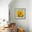 Sunny Sunflower III-Nicole Katano-Framed Photo displayed on a wall