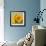 Sunny Sunflower III-Nicole Katano-Framed Photo displayed on a wall