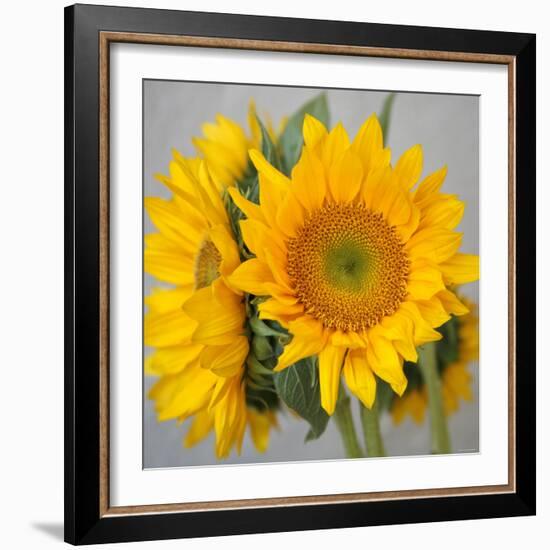 Sunny Sunflower III-Nicole Katano-Framed Photo