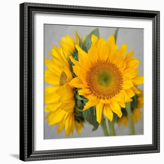 Sunny Sunflower III-Nicole Katano-Framed Photo