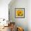 Sunny Sunflower III-Nicole Katano-Framed Photo displayed on a wall