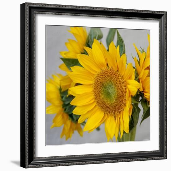 Sunny Sunflower IV-Nicole Katano-Framed Photo