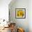 Sunny Sunflower IV-Nicole Katano-Framed Photo displayed on a wall