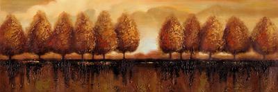 Tree Line-Sunny-Framed Stretched Canvas