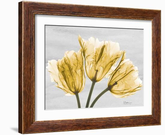 Sunny Trio Tulips-Albert Koetsier-Framed Art Print