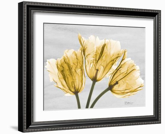 Sunny Trio Tulips-Albert Koetsier-Framed Art Print