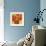 Sunny Tulips-Sarah Horsfall-Framed Giclee Print displayed on a wall