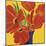 Sunny Tulips-Sarah Horsfall-Mounted Giclee Print