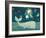 Sunny Whale-Viv Eisner-Framed Art Print