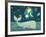 Sunny Whale-Viv Eisner-Framed Art Print