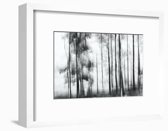 Sunny Winter Day-Jacob Berghoef-Framed Photographic Print