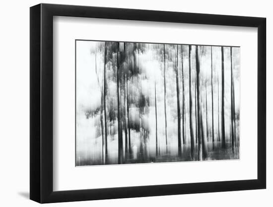 Sunny Winter Day-Jacob Berghoef-Framed Photographic Print