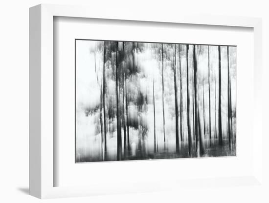Sunny Winter Day-Jacob Berghoef-Framed Photographic Print