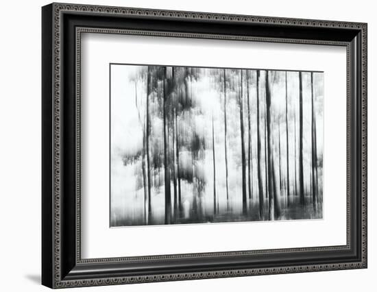Sunny Winter Day-Jacob Berghoef-Framed Photographic Print