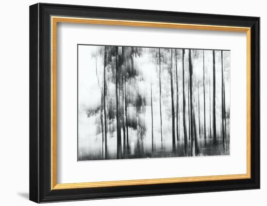 Sunny Winter Day-Jacob Berghoef-Framed Photographic Print