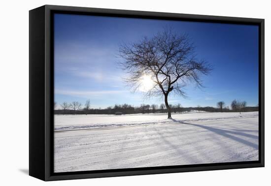 Sunny Winter-SNEHITDESIGN-Framed Premier Image Canvas