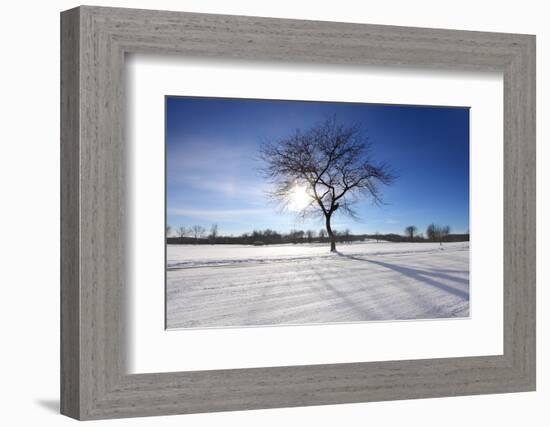 Sunny Winter-SNEHITDESIGN-Framed Photographic Print