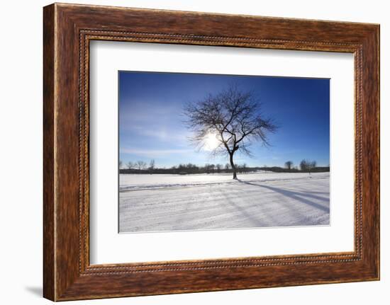 Sunny Winter-SNEHITDESIGN-Framed Photographic Print