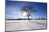 Sunny Winter-SNEHITDESIGN-Mounted Photographic Print