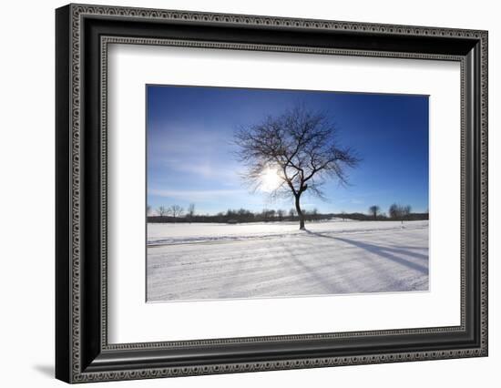 Sunny Winter-SNEHITDESIGN-Framed Photographic Print