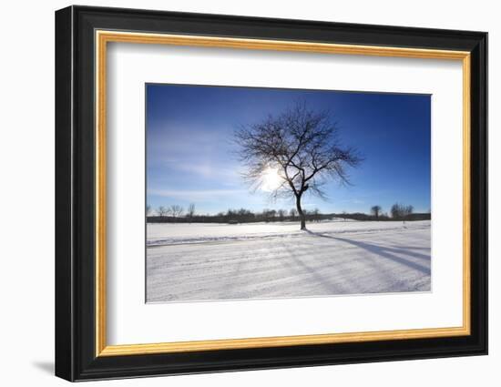 Sunny Winter-SNEHITDESIGN-Framed Photographic Print
