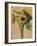 Sunny-Sara Zieve Miller-Framed Art Print