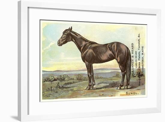 Sunol, Race Horse-null-Framed Art Print