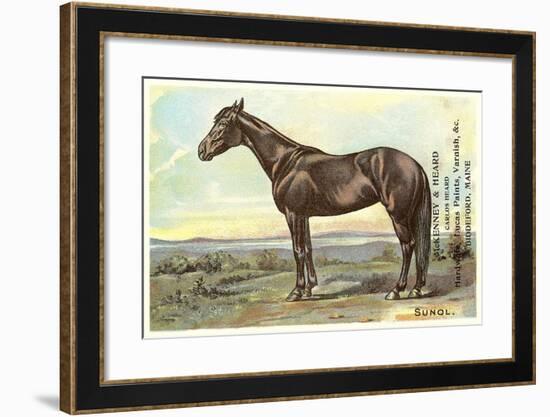 Sunol, Race Horse-null-Framed Art Print