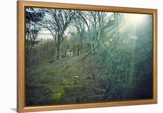 Sunray and remains of a defensive wall of a bunker on a mountain in a wood in winter in Alsace-Axel Killian-Framed Premier Image Canvas