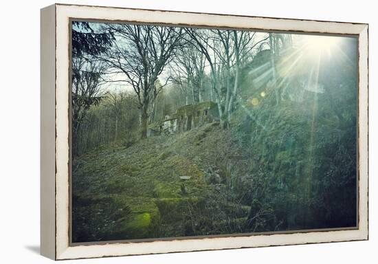 Sunray and remains of a defensive wall of a bunker on a mountain in a wood in winter in Alsace-Axel Killian-Framed Premier Image Canvas