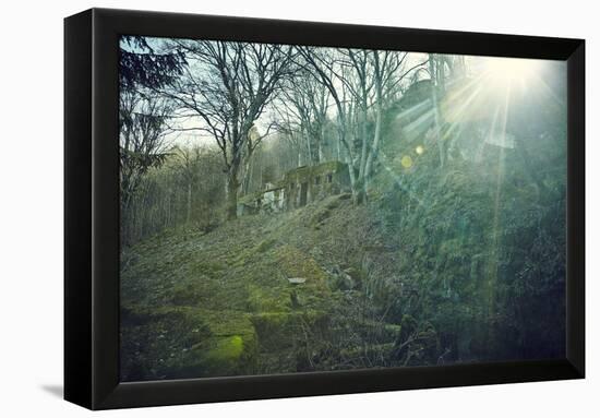 Sunray and remains of a defensive wall of a bunker on a mountain in a wood in winter in Alsace-Axel Killian-Framed Premier Image Canvas