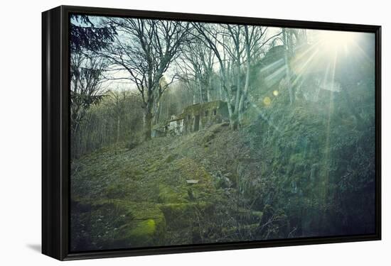 Sunray and remains of a defensive wall of a bunker on a mountain in a wood in winter in Alsace-Axel Killian-Framed Premier Image Canvas