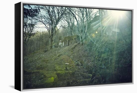 Sunray and remains of a defensive wall of a bunker on a mountain in a wood in winter in Alsace-Axel Killian-Framed Premier Image Canvas