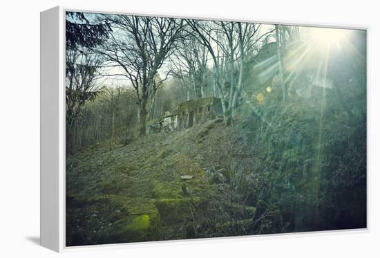 Sunray and remains of a defensive wall of a bunker on a mountain in a wood in winter in Alsace-Axel Killian-Framed Premier Image Canvas