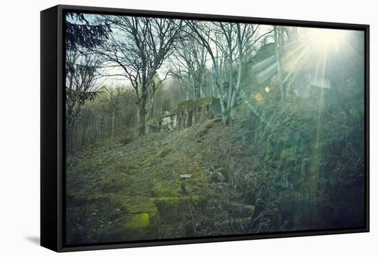 Sunray and remains of a defensive wall of a bunker on a mountain in a wood in winter in Alsace-Axel Killian-Framed Stretched Canvas
