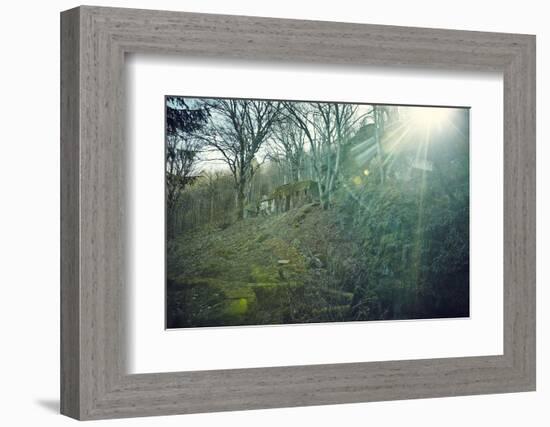 Sunray and remains of a defensive wall of a bunker on a mountain in a wood in winter in Alsace-Axel Killian-Framed Photographic Print