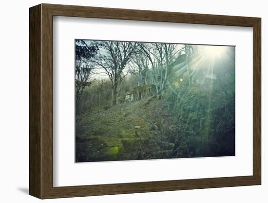 Sunray and remains of a defensive wall of a bunker on a mountain in a wood in winter in Alsace-Axel Killian-Framed Photographic Print