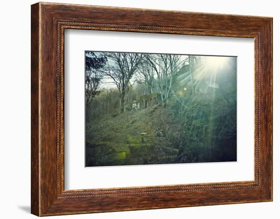 Sunray and remains of a defensive wall of a bunker on a mountain in a wood in winter in Alsace-Axel Killian-Framed Photographic Print