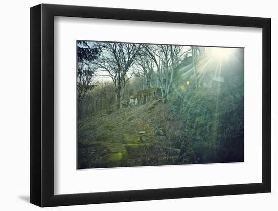 Sunray and remains of a defensive wall of a bunker on a mountain in a wood in winter in Alsace-Axel Killian-Framed Photographic Print