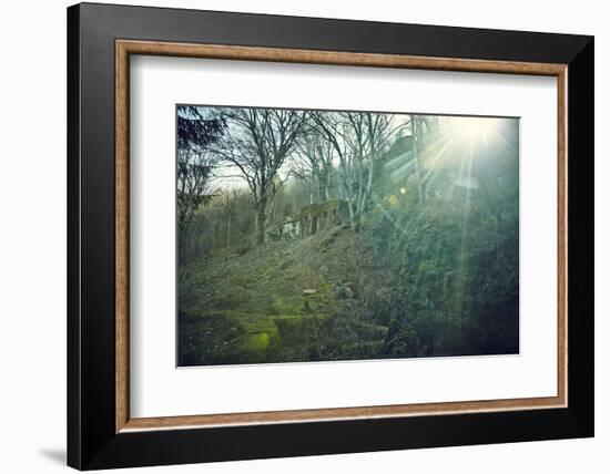 Sunray and remains of a defensive wall of a bunker on a mountain in a wood in winter in Alsace-Axel Killian-Framed Photographic Print