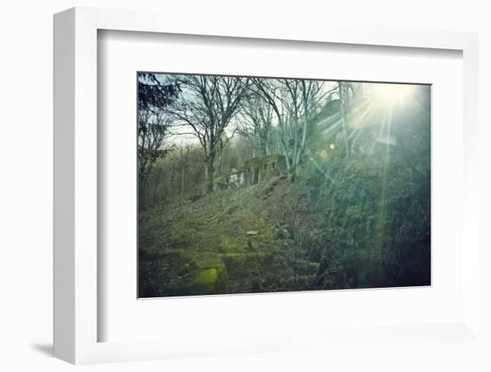 Sunray and remains of a defensive wall of a bunker on a mountain in a wood in winter in Alsace-Axel Killian-Framed Photographic Print