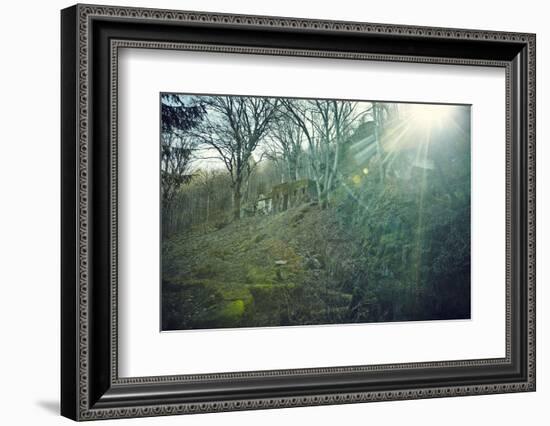 Sunray and remains of a defensive wall of a bunker on a mountain in a wood in winter in Alsace-Axel Killian-Framed Photographic Print