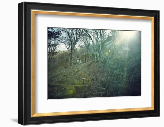 Sunray and remains of a defensive wall of a bunker on a mountain in a wood in winter in Alsace-Axel Killian-Framed Photographic Print