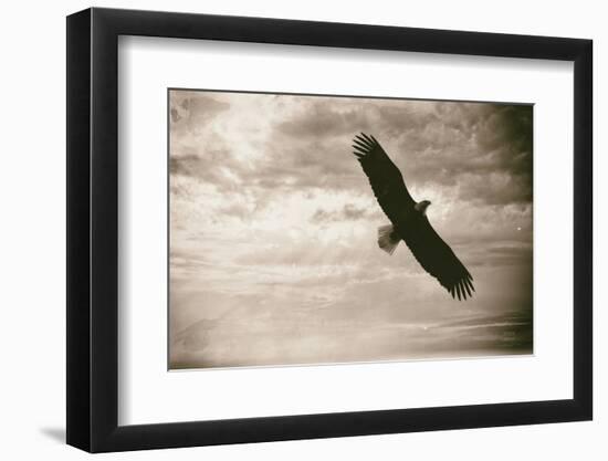 Sunray Eagle-Nathan Larson-Framed Photographic Print
